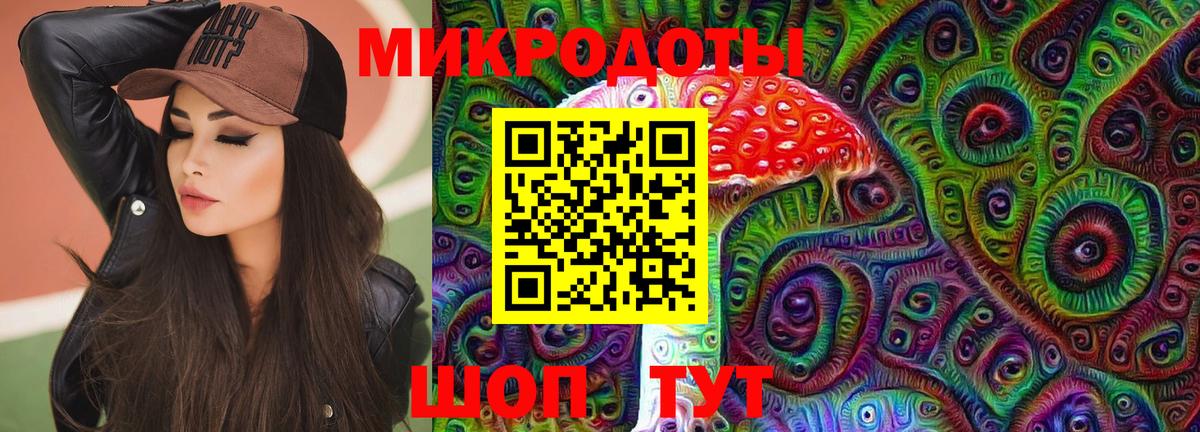 Псилоцибиновые грибы Cubensis Унеча