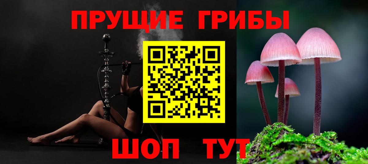 Унеча  Галлюциногенные грибы Cubensis  Вход с VPN 